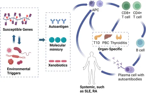 Frontiers | CAR T-cell therapy in autoimmune diseases: a