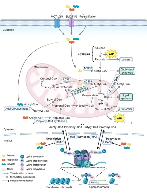 pi Lipid Raft Redox Signaling: Molecular Mechanisms in Health