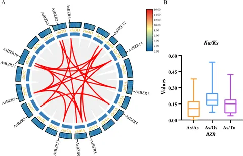 Frontiers | Genome-wide identification and characterization of the