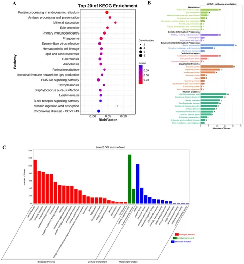 Frontiers | RNA-seq analysis of shrimp tropomyosin-induced