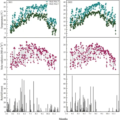 Frontiers | Yield formation at different nodes in the ratoon