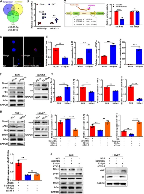 【エム　2つセット】 Webike | M-DESIGN エムデザイン FRPライトマスク(2型用) ライブ