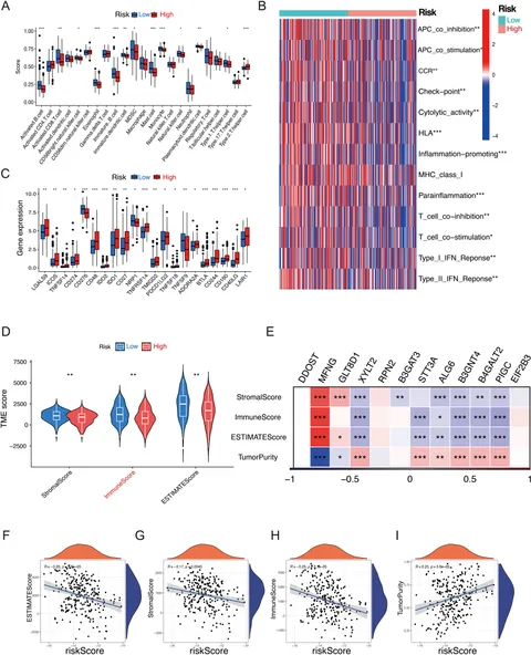 Frontiers | Construction of a glycosylation-related