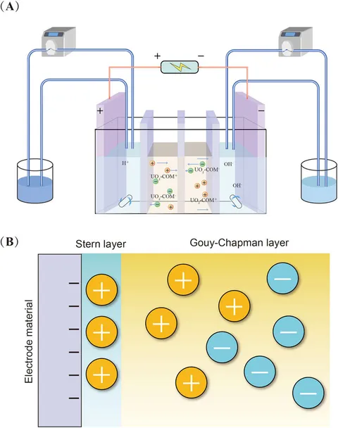 その他 THE WORLD Microwaves & RF - Innovators In Microwaves 2024 - Networks