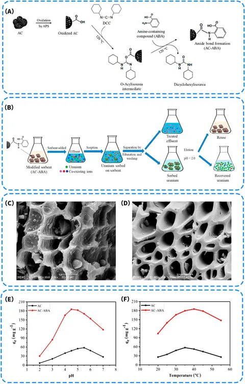 その他 Ta-ta Frontiers | Research advances in carbon-based electrode