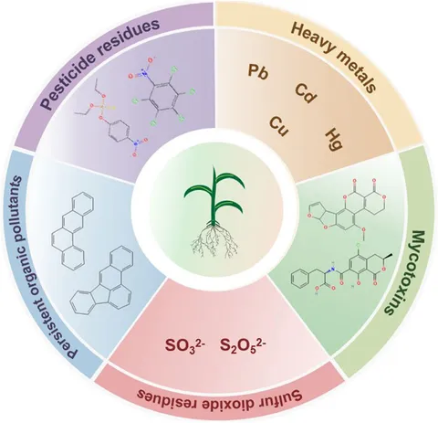 専用ページ⑩ HP 876938-002 - 1.2TB 10K RPM 12Gbps SAS 2.5