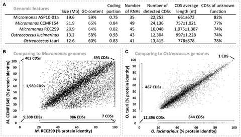Frontiers | Genome reconstructions indicate the partitioning