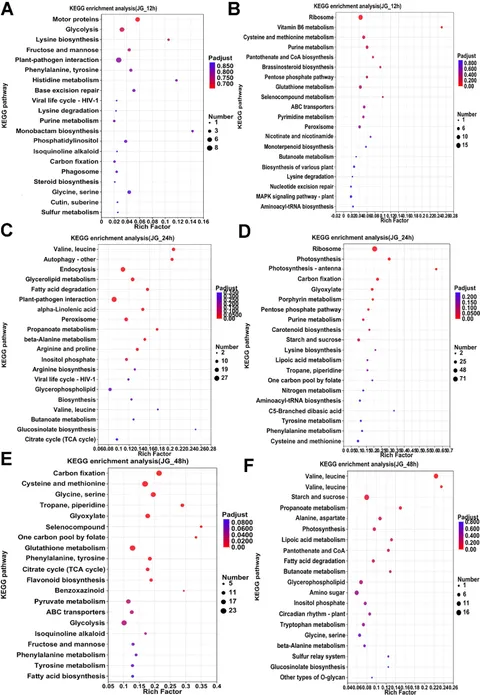 Frontiers | Transcriptome analysis reveals early activation of