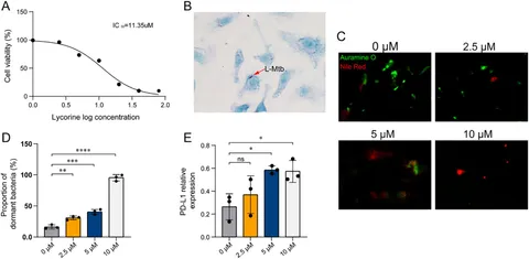 Frontiers | CD14- CD16+ monocyte PD-L1 prevents early tuberculosis
