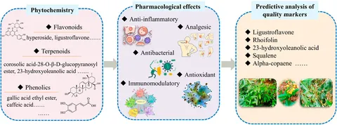 ※ミンミン QL-01N｜ミドリ安全の安全靴クワンタムリープ - 安全靴・作業靴は