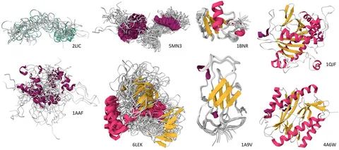 Frontiers | A blurry view of fuzzy objects: on the roles of low