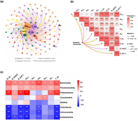 Frontiers | Arsenic speciation and distribution in industrially