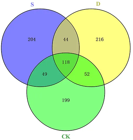 Frontiers | Identification of Rapeseed MicroRNAs Involved in