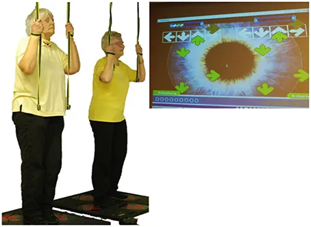 Frontiers | Exergame and Balance Training Modulate Prefrontal