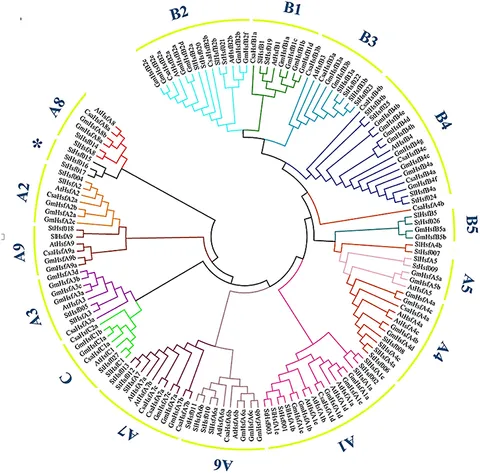 Frontiers | Genome-Wide Identification and Function Analyses
