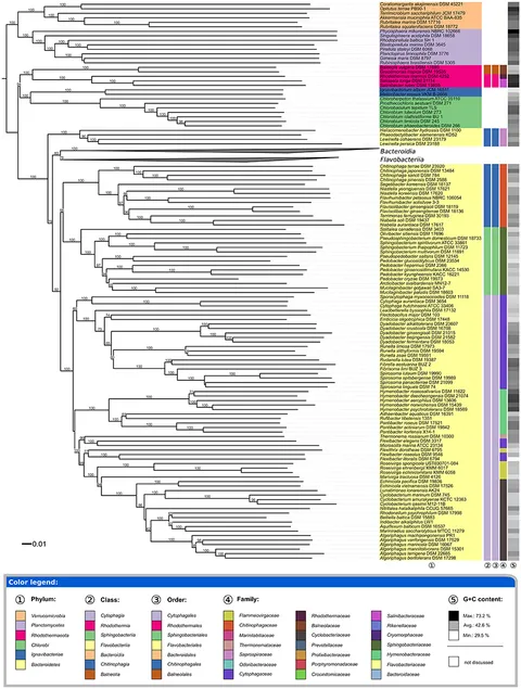 Frontiers | Genome-Based Taxonomic Classification of Frontiers | Genome-Based Taxonomic Classification of