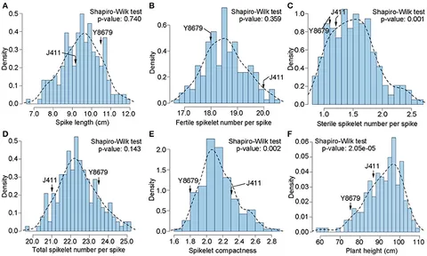 Frontiers | QTL Analysis of Spike Morphological Traits and