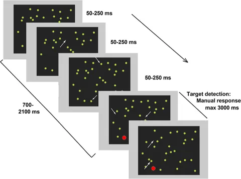 洋書 Cognitive Neural Bases Spatial neglect 洋書 Cognitive Neural Bases Spatial neglect 洋書 Cognitive Neural