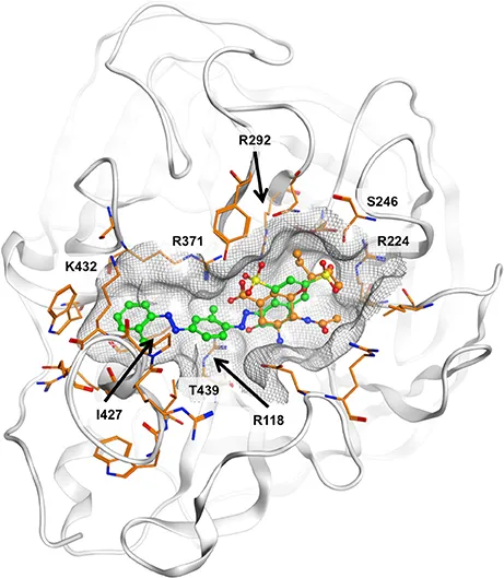 Frontiers | Discovery and Characterization of Diazenylaryl Frontiers | Discovery and Characterization of Diazenylaryl