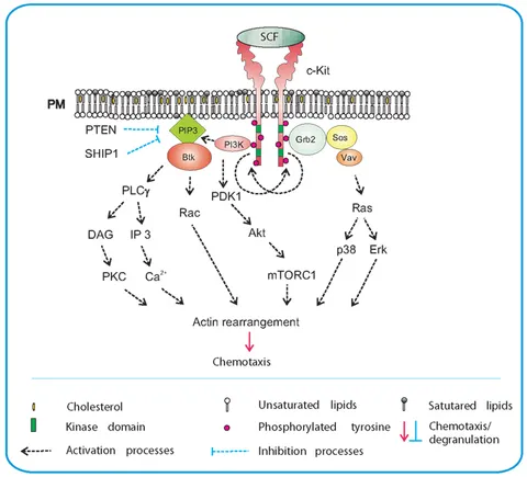 Uyda suniy vaginani qanday qilish kerak