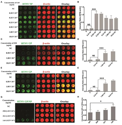 マイルド 1UPJ-23866148]ヴェルファイア(AGH30W)コンピューター3 (ゲートウェイ