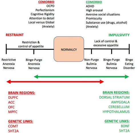 サベージ Non-Coding RNAs as Potential Neuroprotectants against