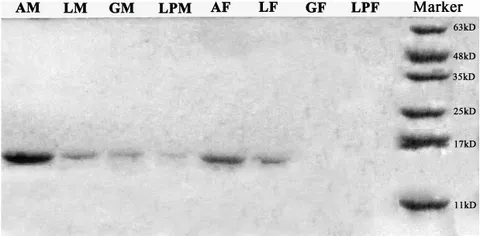 商品画像：Frontiers | Pheromone Binding Protein EhipPBP1 Is Highly 3