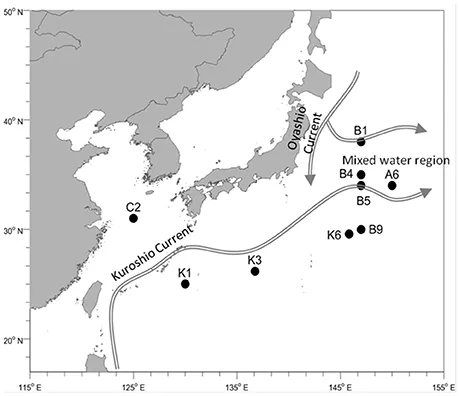 Frontiers | Bacterial Diversity and Nitrogen Utilization