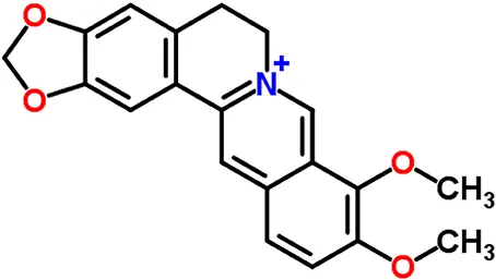 BRAF, MEK, and EGFR Triplet Inhibitors as Salvage Therapy in