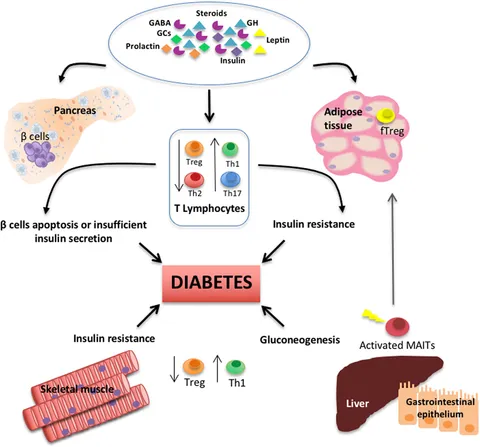 Frontiers | Interactions Between the Neuroendocrine System Frontiers | Interactions Between the Neuroendocrine System