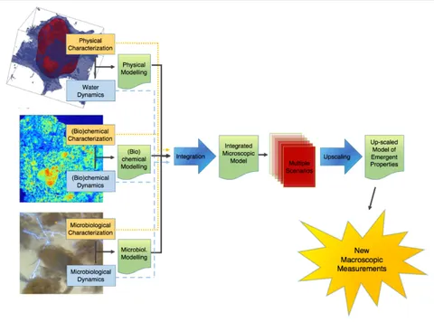 Frontiers | Emergent Properties of Microbial Activity in