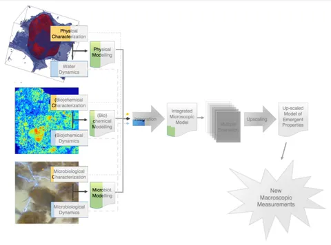 son fmicb-09-01929-g005.jpg