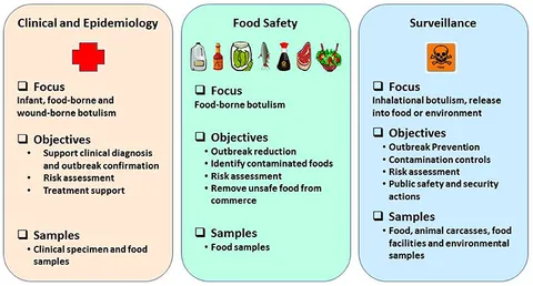 Frontiers | Botulinum Neurotoxin Detection Methods for