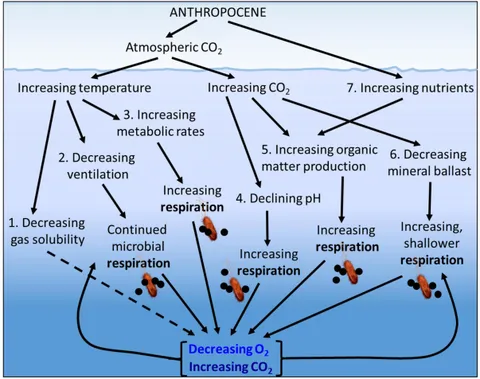 一番人気物 Frontiers | Microbial Respiration, the Engine of Ocean 洋書