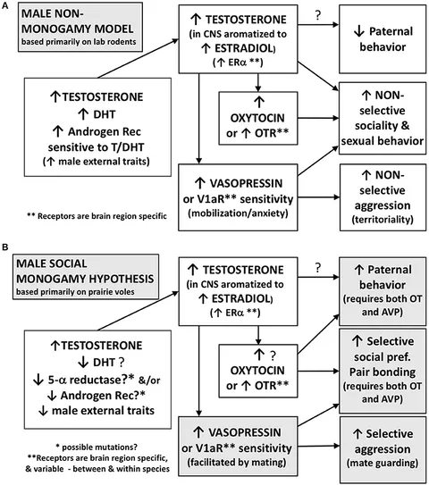 Xususiy hammomda yalangoch ayollar