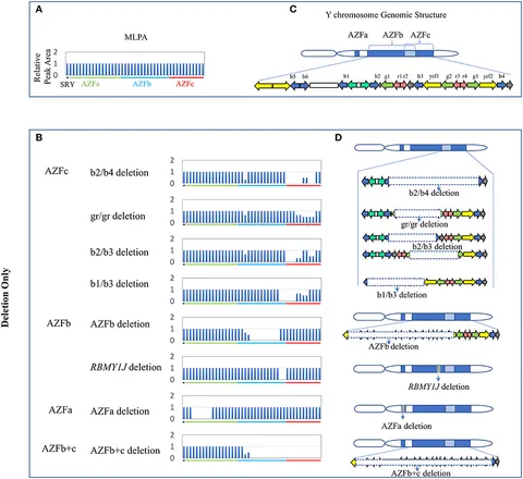 fgene-10-00427-g001.jpg fgene-10-00427-g001.jpg