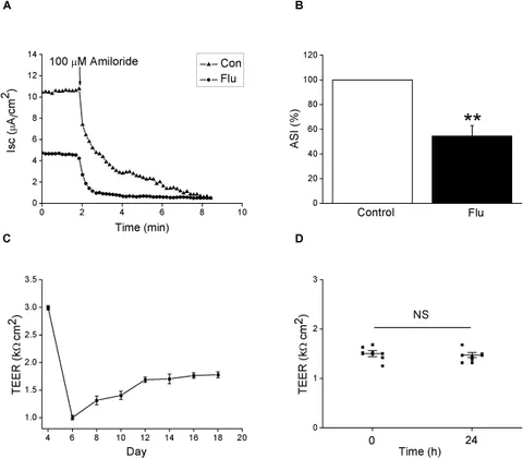 Frontiers | Upregulation of the WNK4 Signaling Pathway