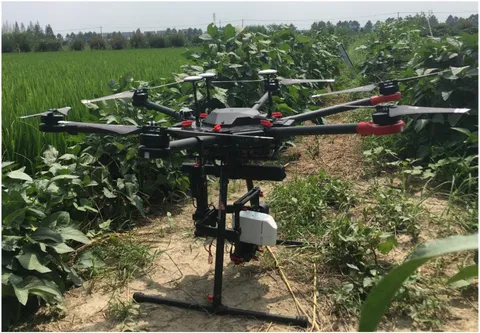 Frontiers | Rice Yield Estimation Using Parcel-Level