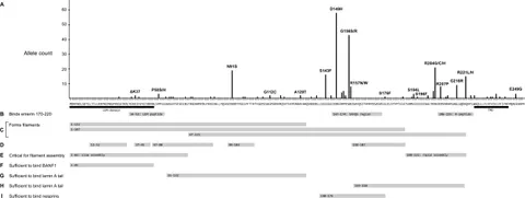 fcell-07-00048-g002.jpg fcell-07-00048-g002.jpg