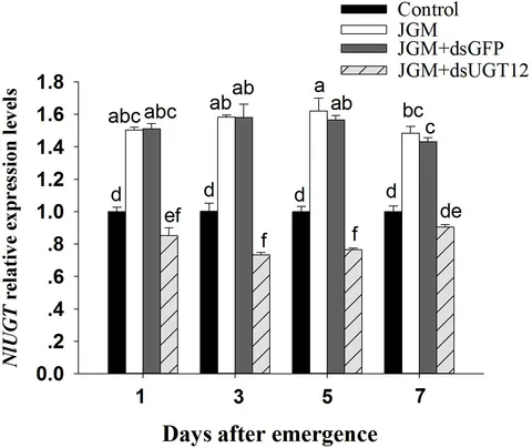 ラビット Pathology of Coronavirus Infections: A Review of Lesions in