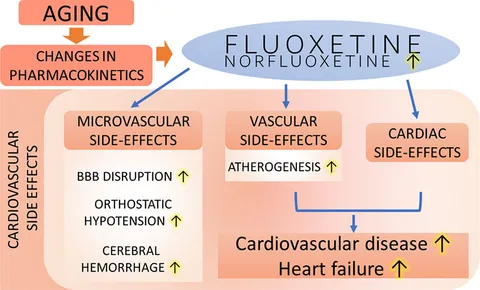 【楽天ランキング1位】 | Frontiers Potential of Effects Cardiovascular Adverse ウェア