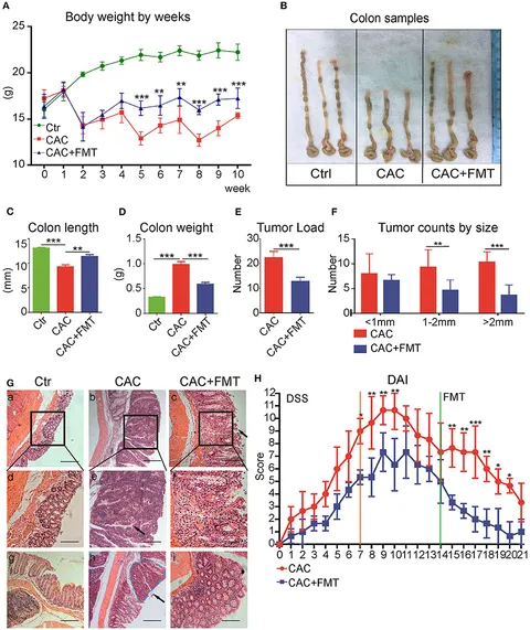 The Complexities of Interspecies Somatic Cell Nuclear