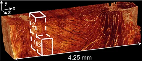 Frontiers | A Preliminary Computational Investigation Into