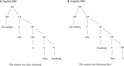 Frontiers | Preference for Object Relative Clauses in Frontiers | Preference for Object Relative Clauses in