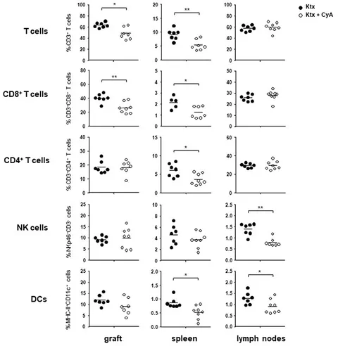 Frontiers | Natural Killer Cells Promote Kidney Graft