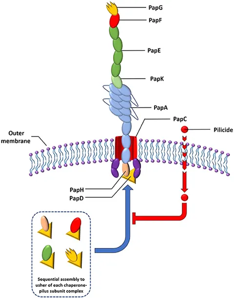 fchem-07-00742-g001.jpg