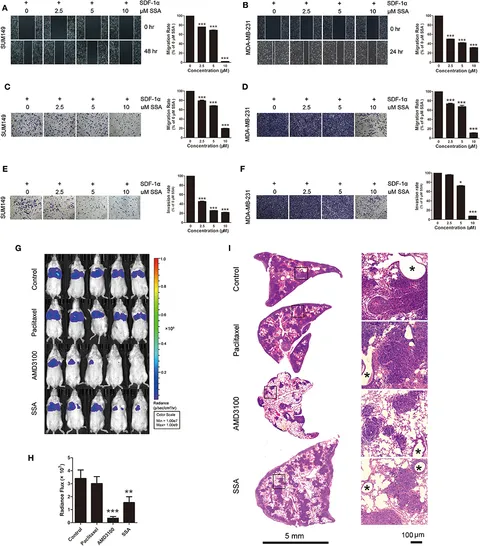 Gankyrin inhibits ferroptosis through the p53/SLC7A11/GPX4