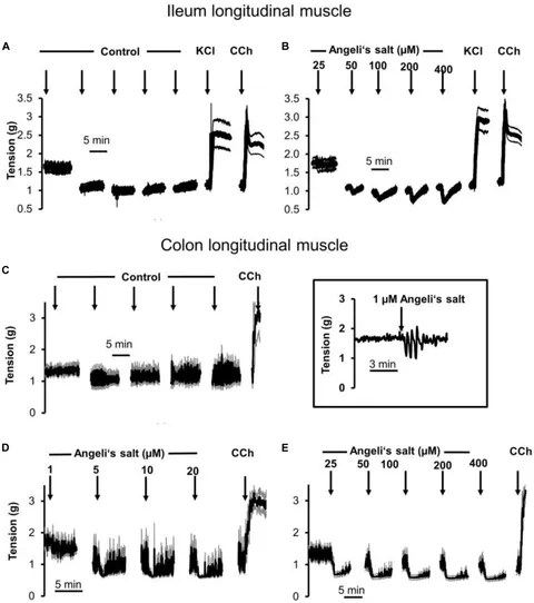 fphys-11-00438-g001.jpg fphys-11-00438-g001.jpg