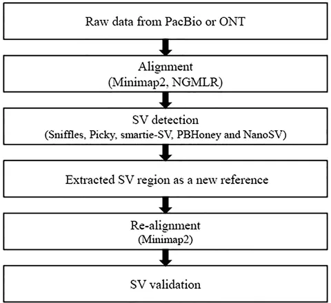 fgene-11-00159-g001.jpg