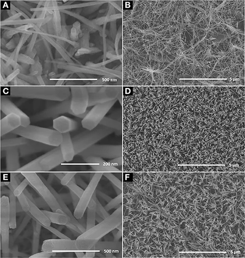 fchem-08-00101-g001.jpg